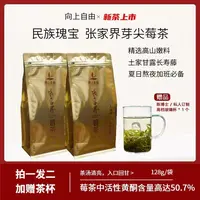 【2025年新茶】张家界长寿藤高山芽尖莓茶128g 拍一发二