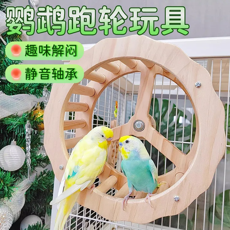【宠大条】鹦鹉跑轮虎皮玩具解闷旋转转轮鸟用跑步玄凤牡丹磨爪秋千