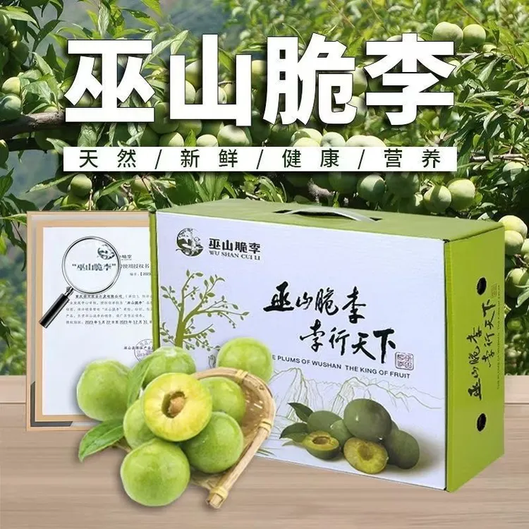 （顺丰快递）巫山脆李当季新鲜水果酸甜可口核小肉厚