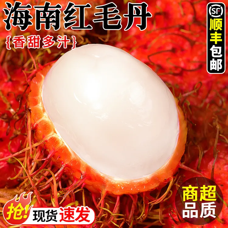 正宗海南红毛丹新鲜毛荔枝当季毛丹果红牡丹热带水果顺丰包邮