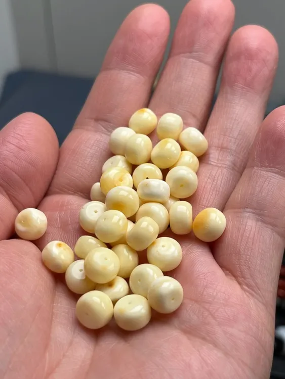 俄料蜜蜡浓白蜡墩子直径8.5厚度6.3有皮色介意勿拍多样发一颗