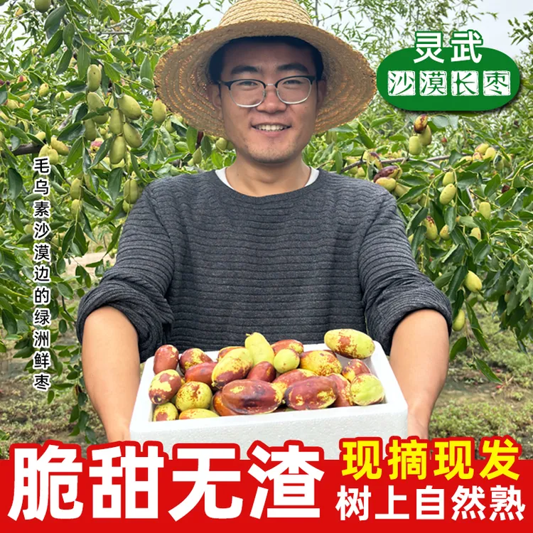 【沙漠灵武长枣】脆甜冬枣宁夏灵武长枣鲜枣现摘现发新鲜大枣水果