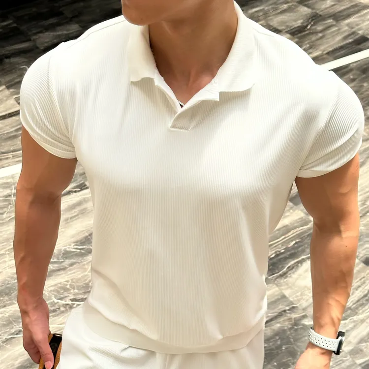 夏季海鸥领透气凉感运动POLO衫男螺纹简约轻薄百搭复古风T恤