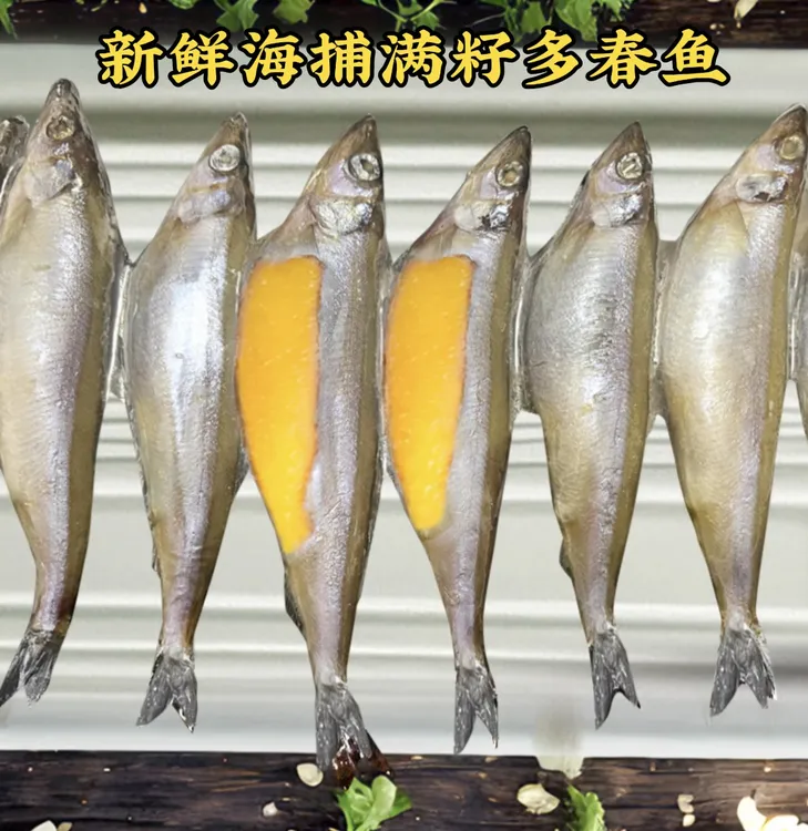 新鲜海捕满籽多春鱼全母体纯天然籽大号多春鱼每盒净重170克顺丰