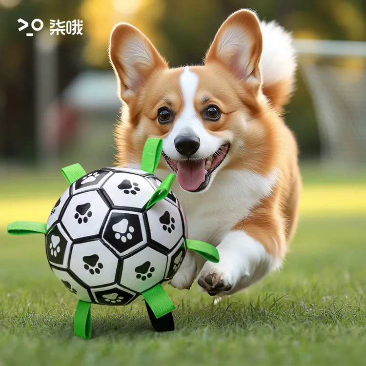 狗狗玩具球磨牙耐咬狗狗足球户外专用巡回训练球宠物玩具