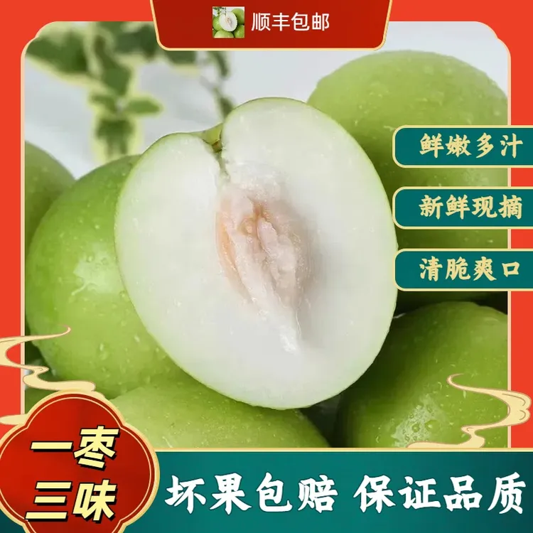 s4  【顺丰发货】台湾牛奶枣贵妃枣当季清甜现摘绿色健康孕妇水果