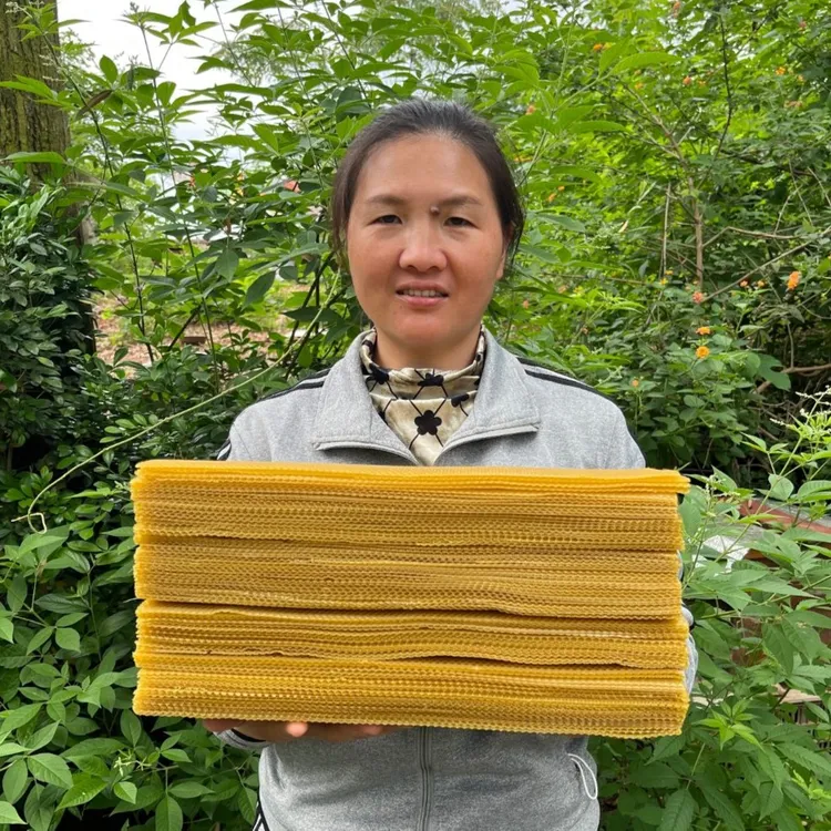 纯蜂蜡中蜂巢础养蜂工具巢基巢皮蜜蜂巢框深房巢础片