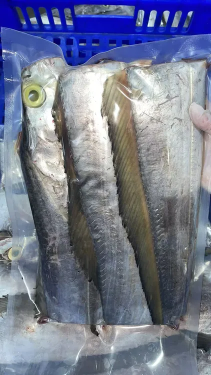 神泉港 大带鱼一条2-3斤  五斤