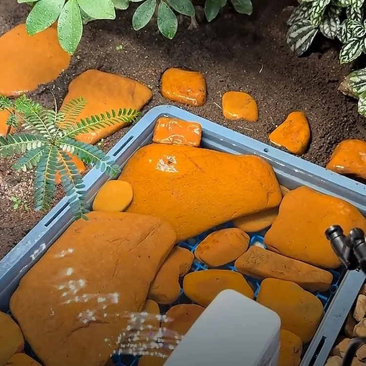 灵2黄蜡石乌龟晒台发色晒背黄蜡石平面溪流石原生态躲避天然造景