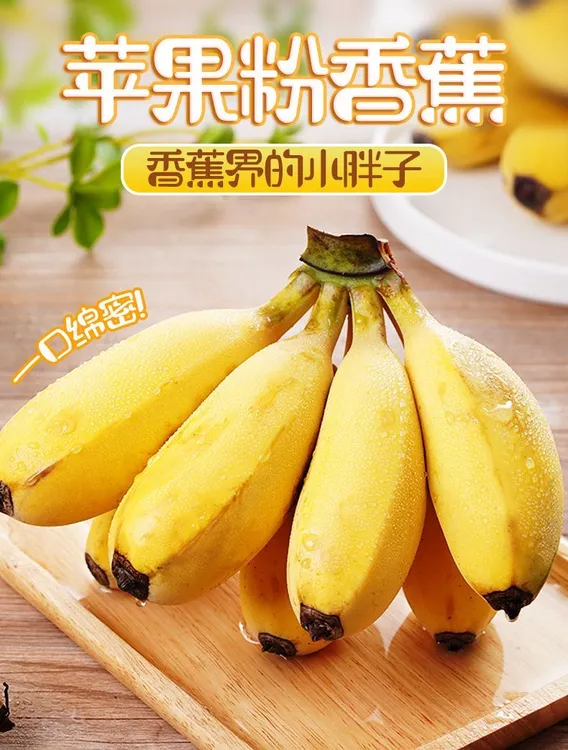 广西苹果蕉粉蕉香蕉产地直销老人孕妇小孩可食用口感软糯香甜包邮