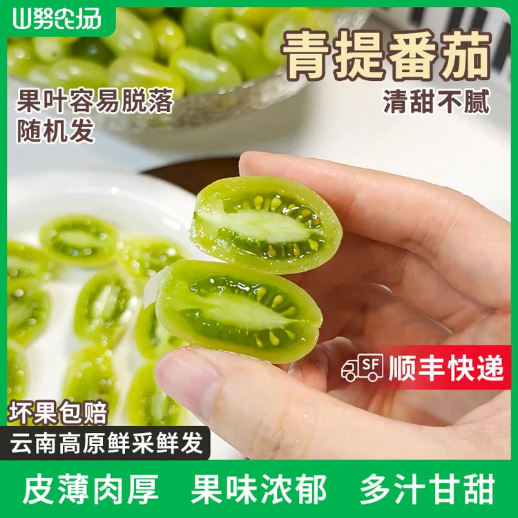 【顺丰】山努青提番茄水果西红柿皮薄清甜不腻多汁新鲜生吃小柿子