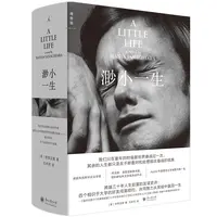 渺小一生（2025版）