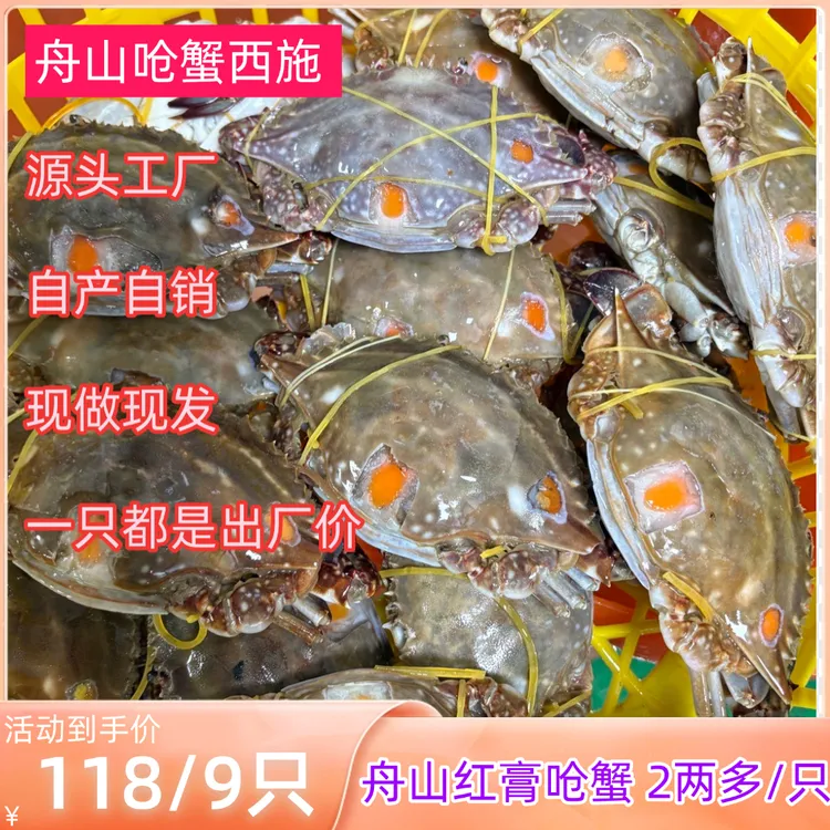 舟山特产红膏呛蟹净重2两多左右膏肥肉实（生吃不可蒸煮）9只装