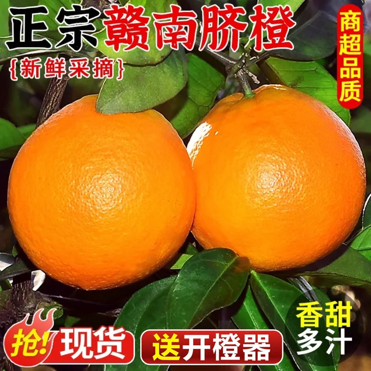 正宗江西赣南脐橙新鲜现摘直发