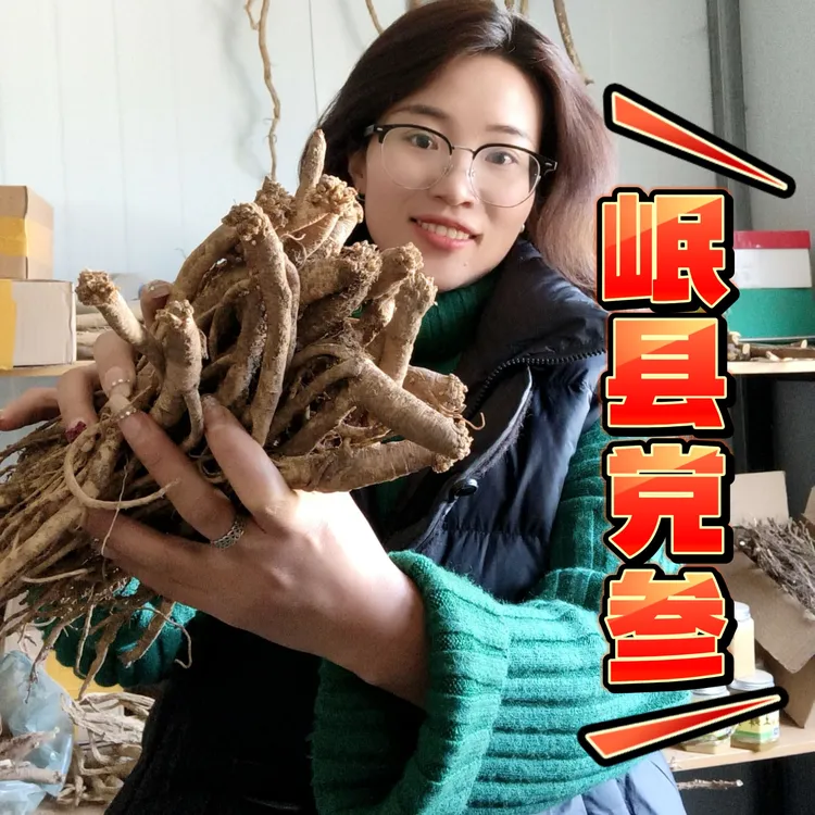 岷县党参新鲜现挖产地直发煲汤泡水滋补佳品
