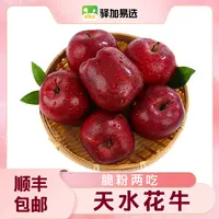 【甘肃天水花牛苹果】 鲜脆爽口 果香浓郁 果肉细腻 鲜甜多汁SXXDL