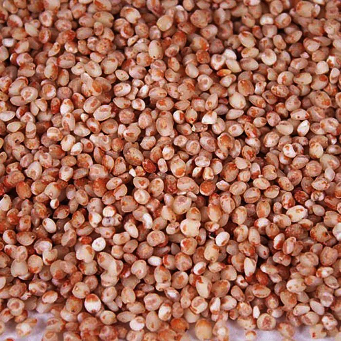 【到手5斤】东北红高梁米新米去壳去皮正宗老式笨红高梁米粘高梁米