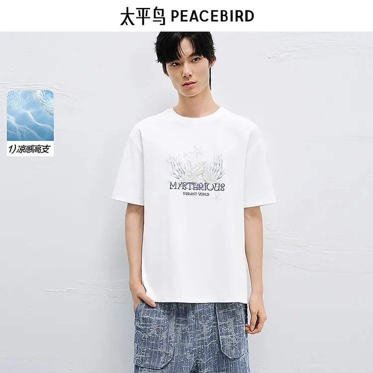 【商场同款】太平鸟男装 2025年夏季新款刺绣印花T恤男B1CNF2614