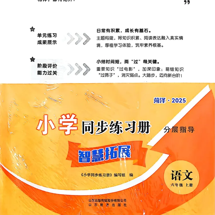 2025 菏泽专版教辅 同步练习册分层指导 小学初中