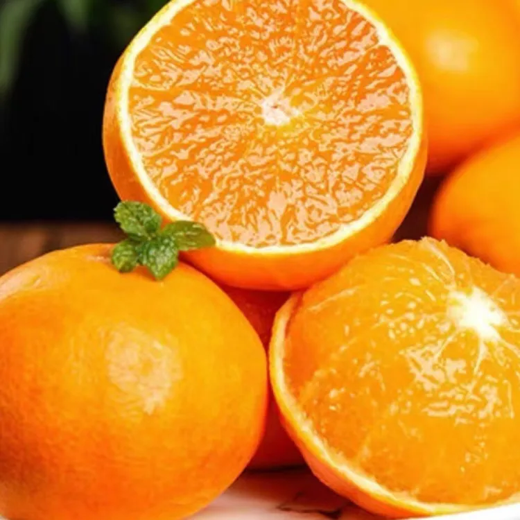 新鲜采摘红美人果冻橙应季水果皮薄多汁孕妇水果
