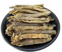 精选 精品沙虫干 煲粥煲汤汤料