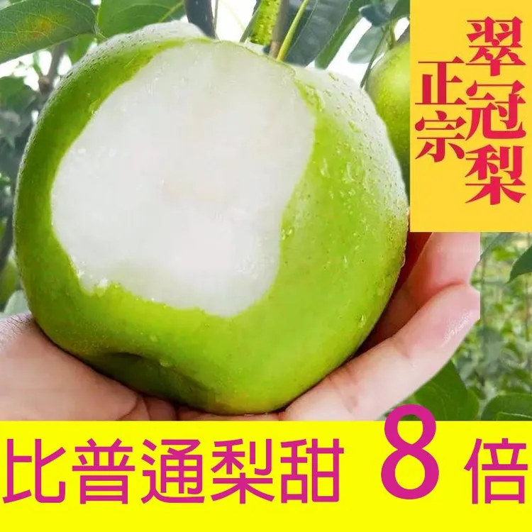四川苍溪青皮梨翠冠梨新鲜脆甜多汁核小肉厚当季水果现摘现发