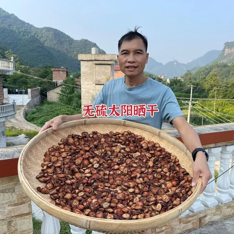 广西天然野生山楂干生晒切片可煮水泡茶山楂片纯天然