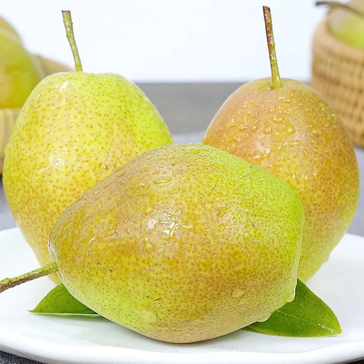 正宗香甜多汁现摘应季香梨新鲜水果口感酥脆