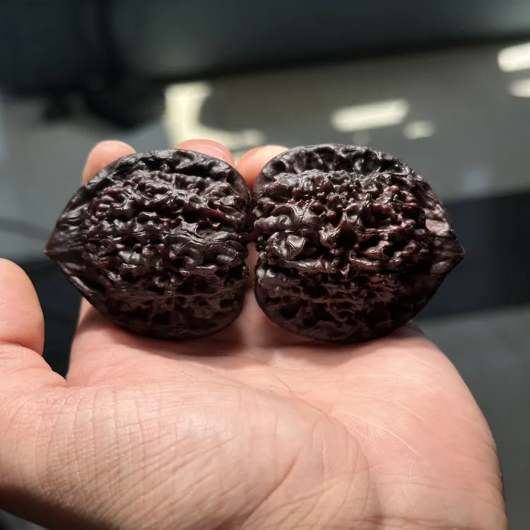 地闷官帽 尺寸随机