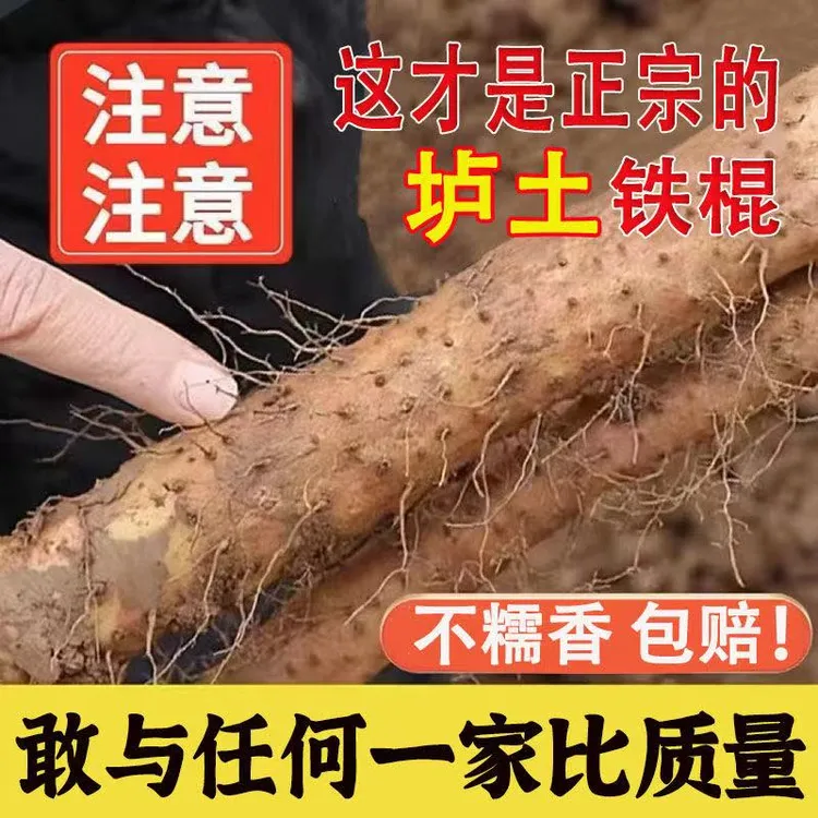 【不正宗全额退】温县原产地铁棍山药新鲜现挖粉糯香营养滋补农家菜