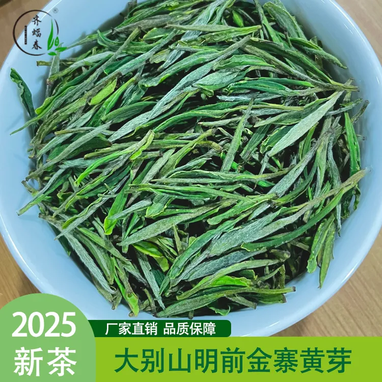 [金寨黄芽A4]明前茶叶直播2025新茶高山绿茶大别山原产地茶叶