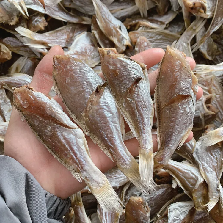 汕尾本港自晒划鱼干去头划鱼脯，微咸煮白菜炖萝卜蒸姜丝好好吃