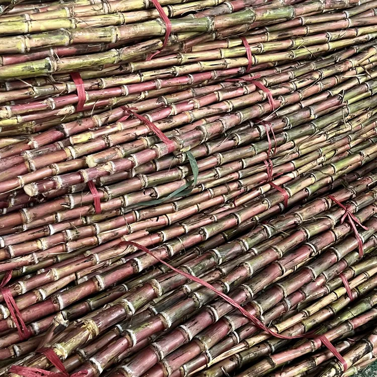 云南-（红皮脆皮甘蔗）-脆甜爽口、汁水充足！