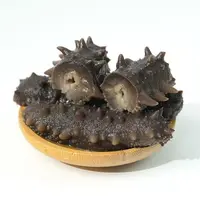 大连即食海参500g/袋
