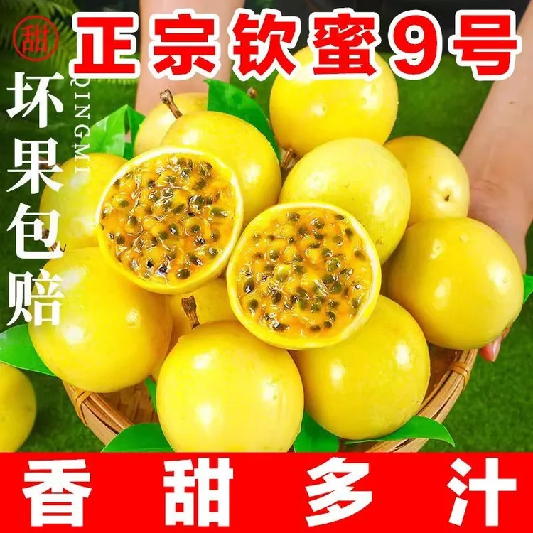 正宗广西钦蜜9号百香果黄金百香果新鲜应季维生素c水果香甜多汁