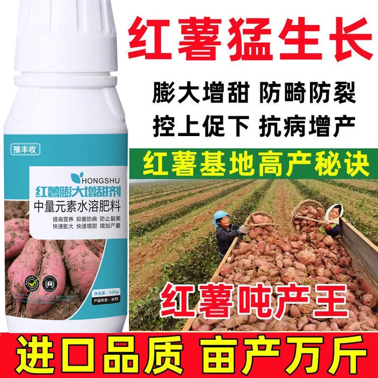 红薯控旺膨大素红薯专用肥地瓜增产叶面肥红薯增甜防裂高产万斤王