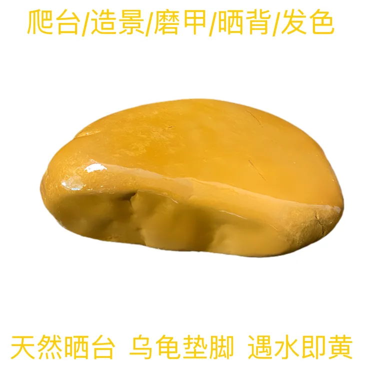 养龟发色天然纯天然黄蜡水冲原石乌龟晒台造景石头黄缘一物一拍