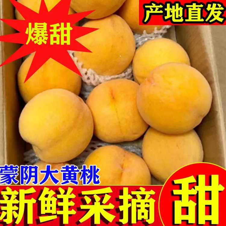 山东大黄桃蒙阴蜜桃罐头专用桃