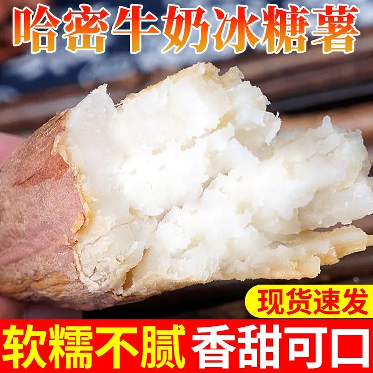 哈密冰糖薯山东沙地新鲜现挖白心糖心蜜薯红薯超甜番地瓜5斤山芋