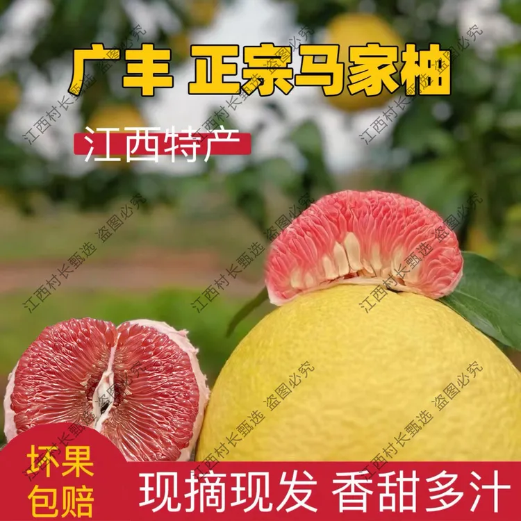 【禾田农业】正宗广丰马家柚红心蜜柚果肉饱满汁水充足现摘