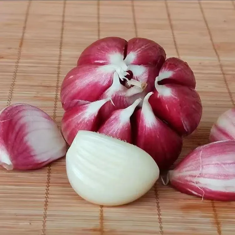 【大促】云南新鲜现挖紫皮小香蒜分瓣蒜香辣好吃大蒜头带箱发货
