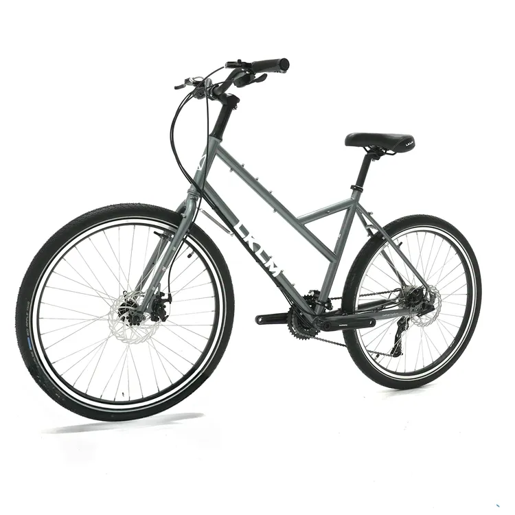 LKLM开朗斜梁款旅行车舒适通勤车钢架自行车长途单车载重骑行郊游