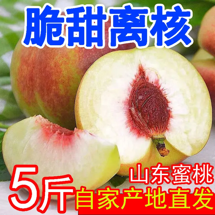 【新店福利】青州小蜜桃新鲜采摘脆甜多汁肉厚老少适宜水果