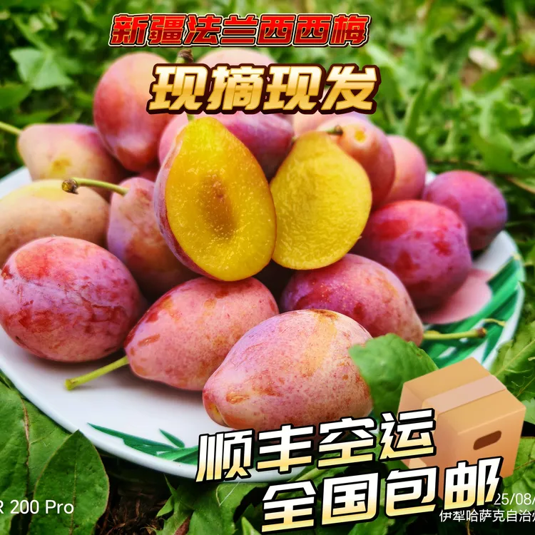 新疆正宗法兰西西梅农场现摘现发季水果法兰西西梅皮薄肉厚航空