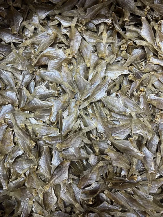 迪仔脯汕尾本港鱼干微微咸