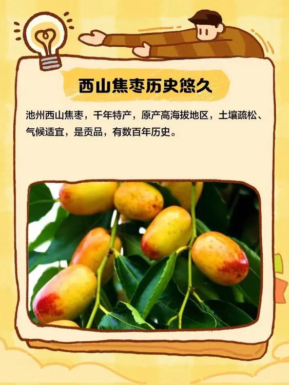 【祥龙】安徽池州特产西山焦枣（食用农产品）