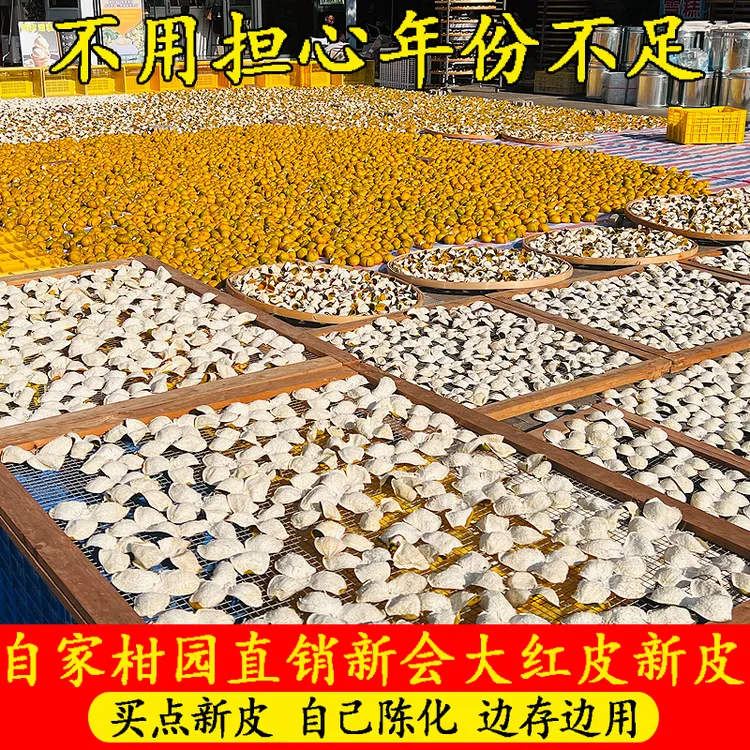 2024年新会新鲜柑果大红皮广东江门正宗茶枝柑陈皮茶当年新皮泡水