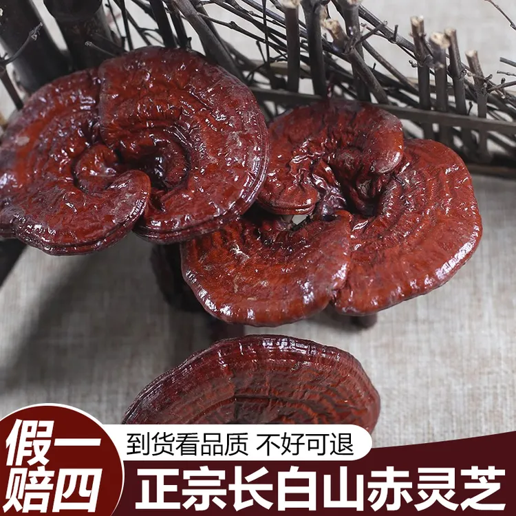 【保真】正品长白山整枝灵芝正宗赤灵芝可切片煲汤泡水非紫灵芝
