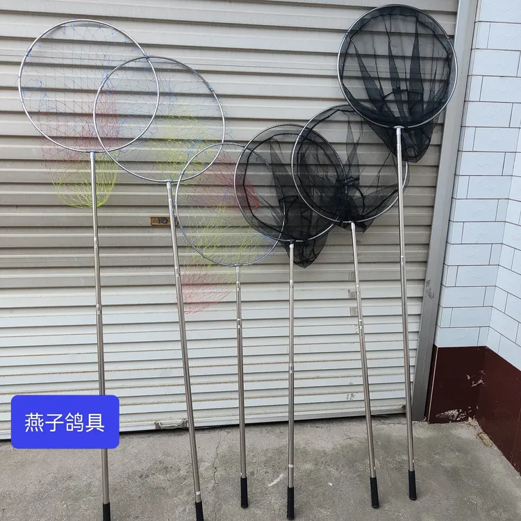 鸽子 不绣钢网兜（折叠网圈）