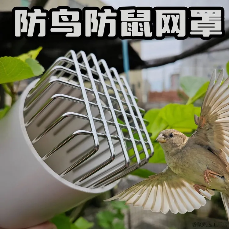 不锈钢防鼠鸟网罩卫生间排气管通风口油烟口PVC下水管过滤地漏罩